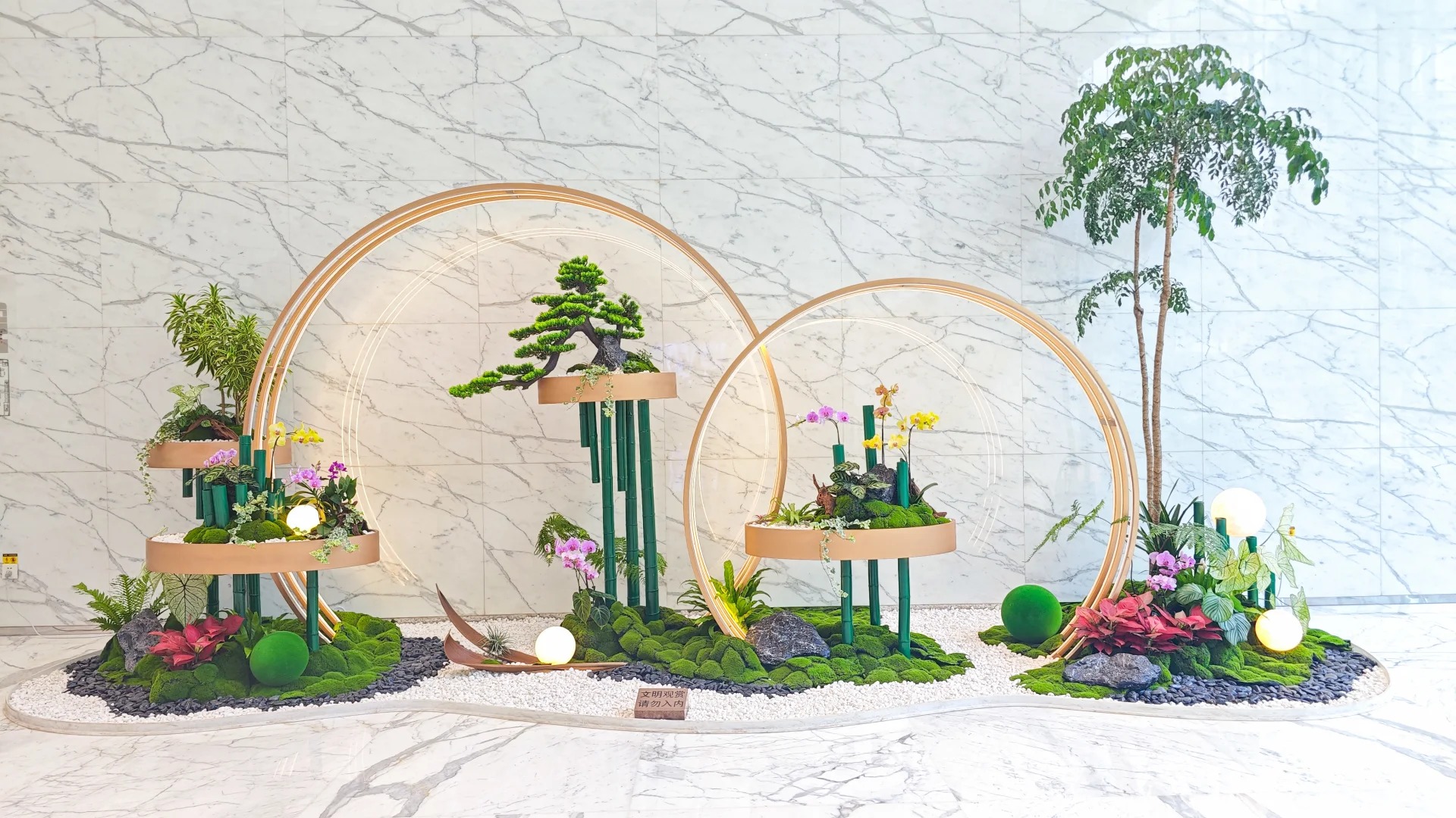 余姚盆景租摆超专业，营造独特视觉享受