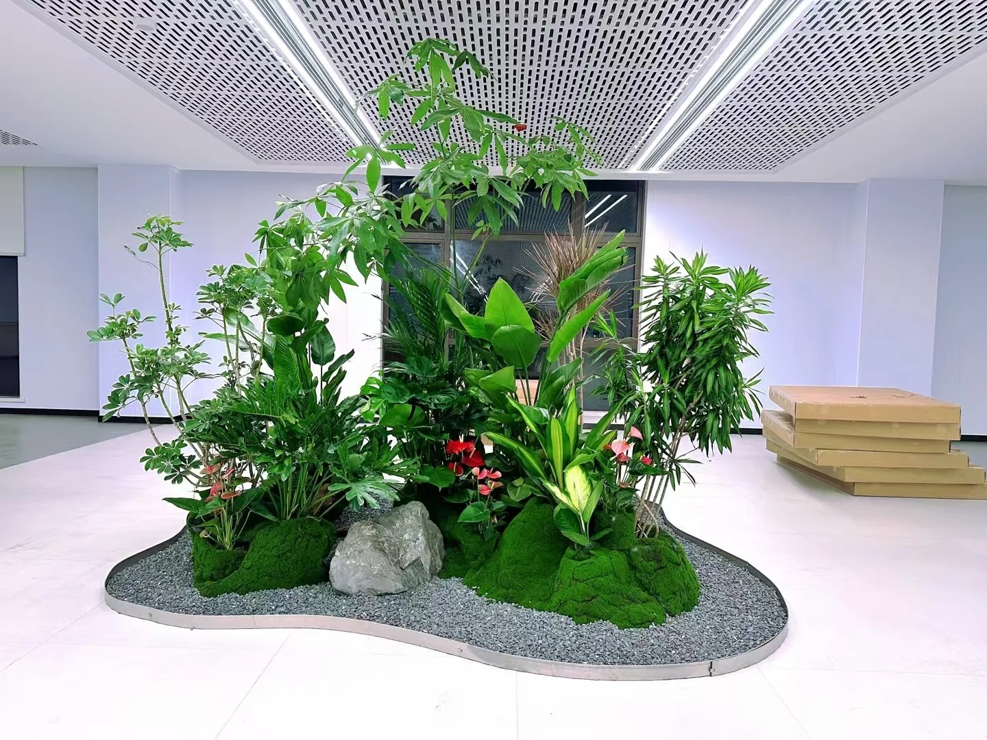 专业服务，宁波奉化植物租赁点亮你的世界